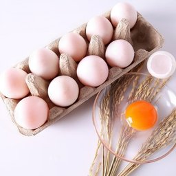 Pasture-raised Duck Eggs 12-Pack