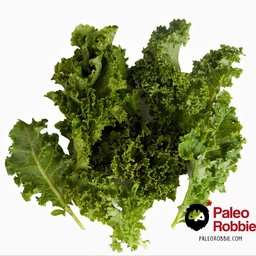 Organic Baby Green Kale