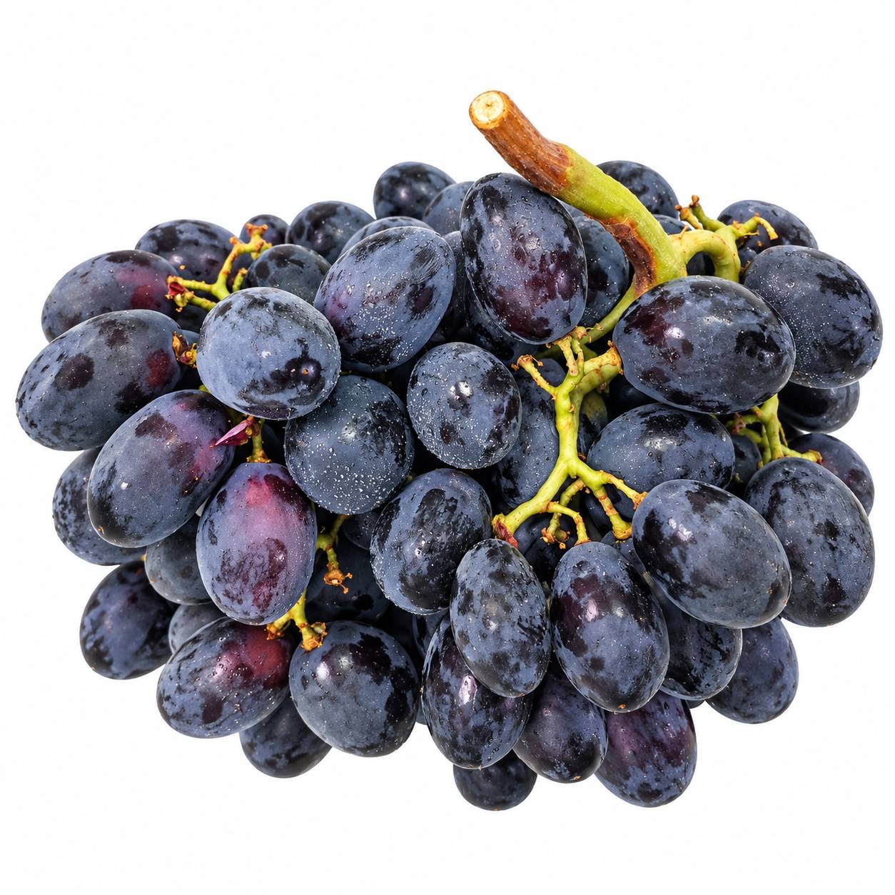Black Grapes Autumn Royal