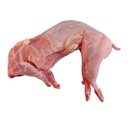 Rabbit