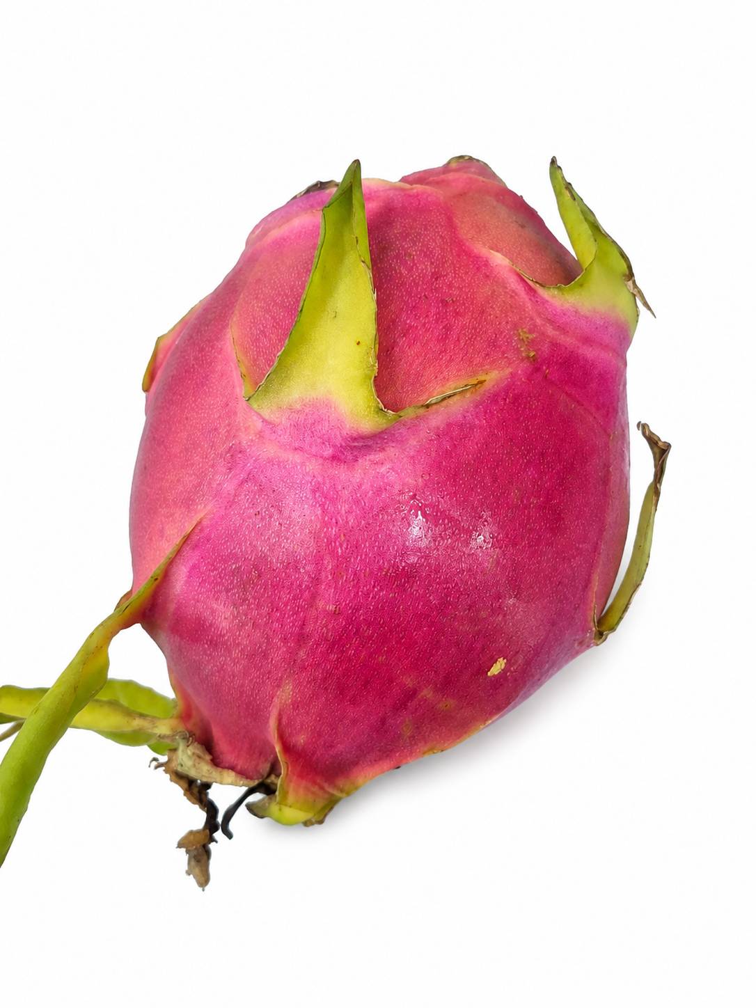 Organic Dragon fruits