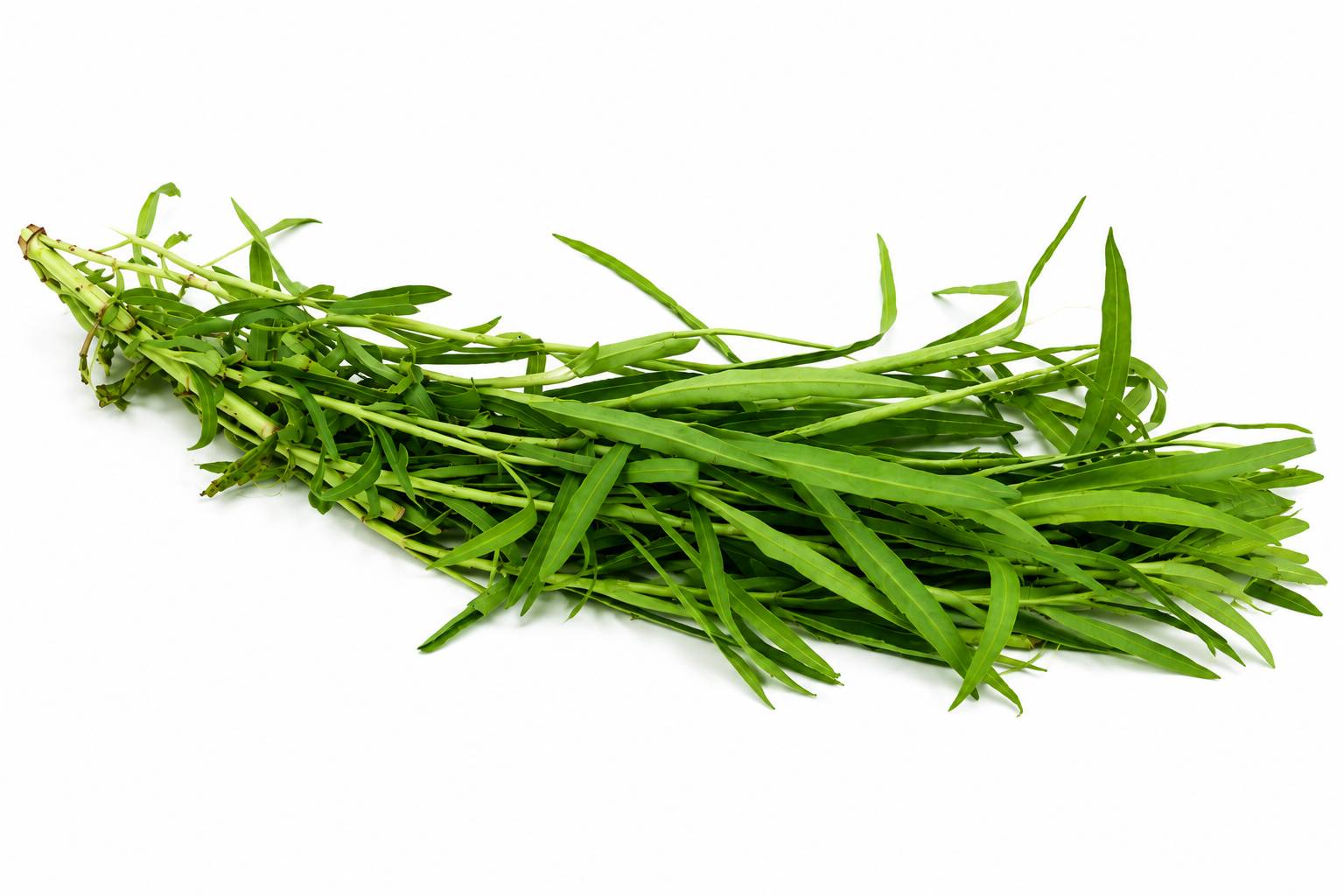 Organic Fresh Tarragon