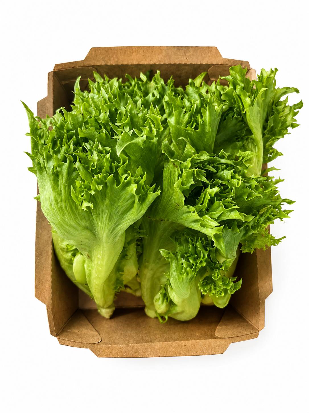 Organic Frillice Iceberg