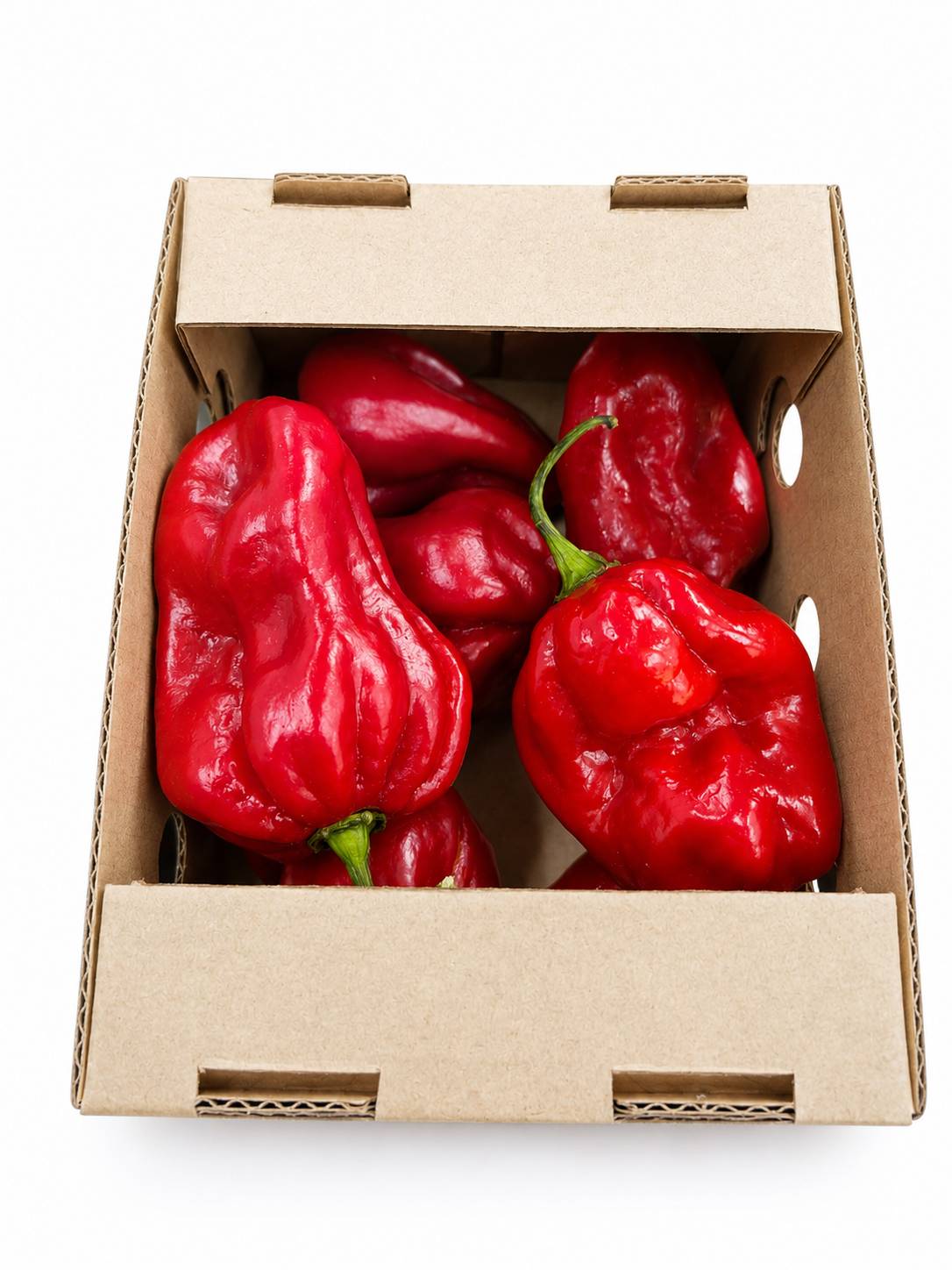 France Chili-Habanero