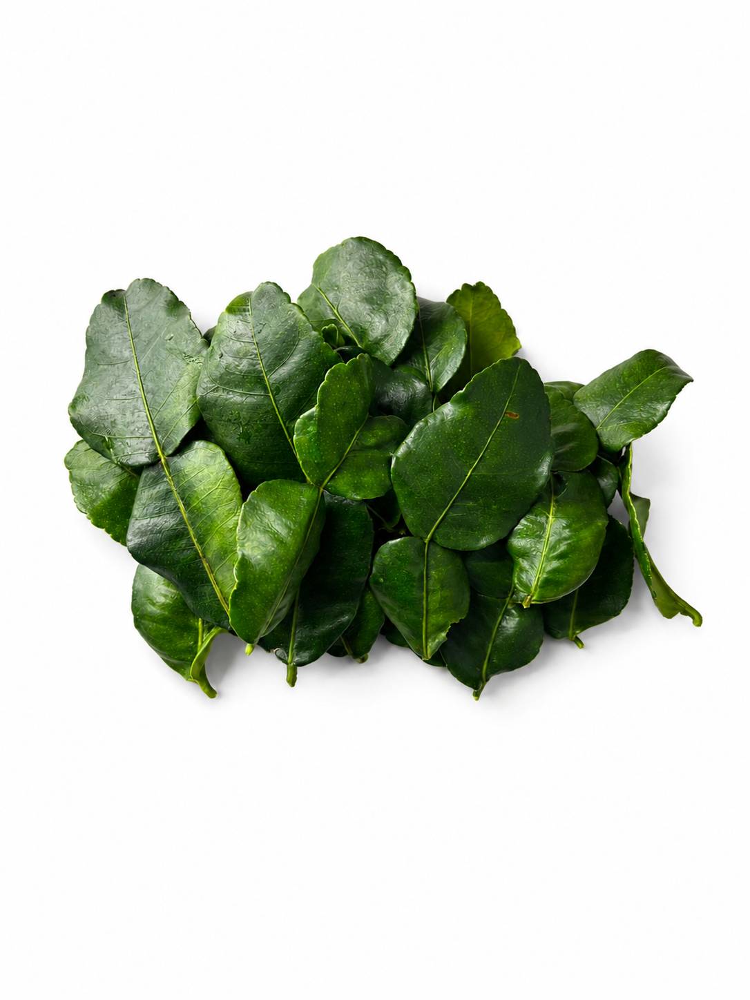 Organic Fresh kaffir lime leaves
