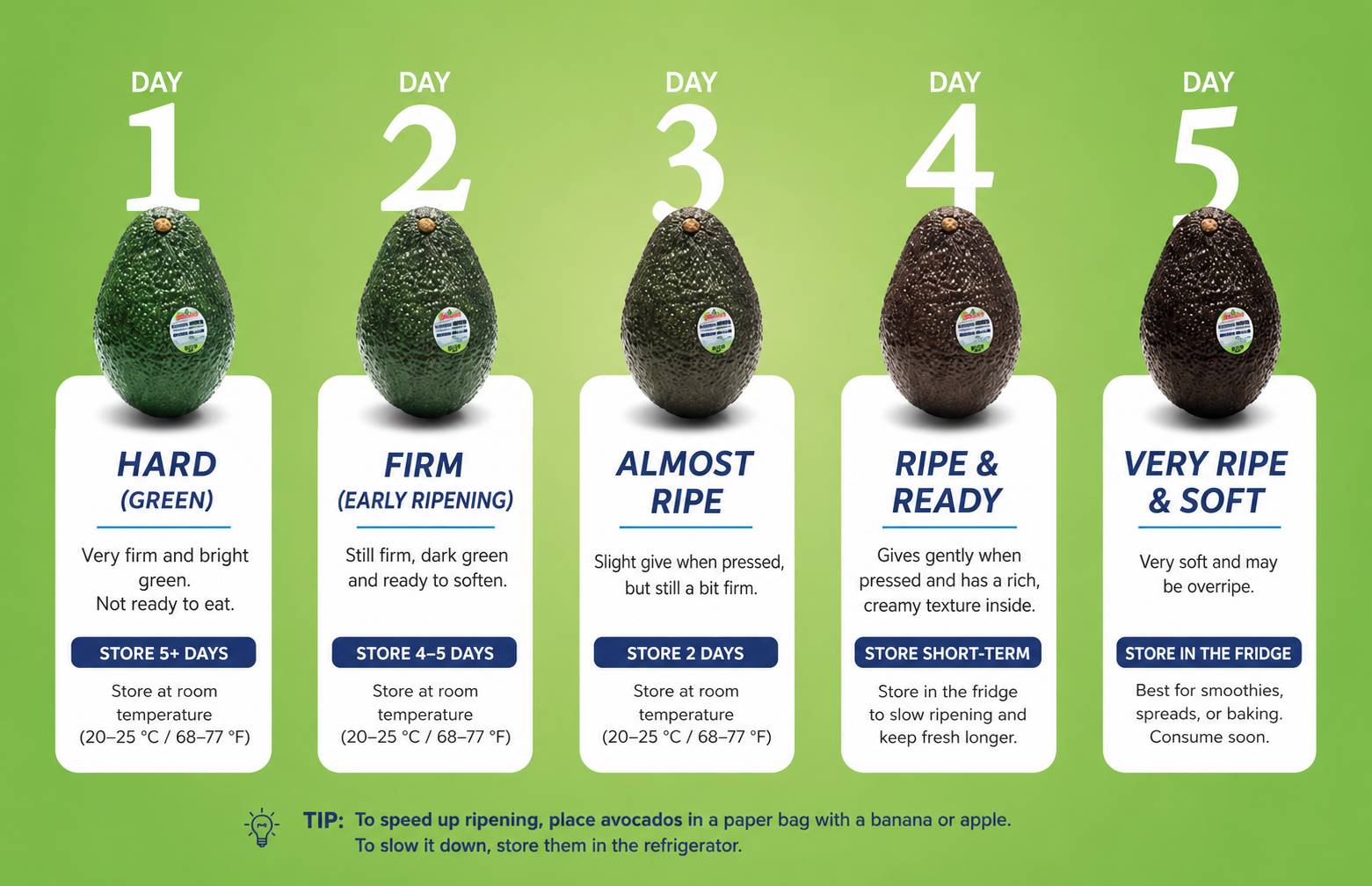 New Zealand Hass Avocados (Jumbo)