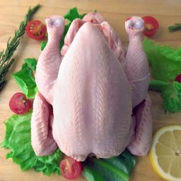 Whole Pasture-raised Baby Chicken