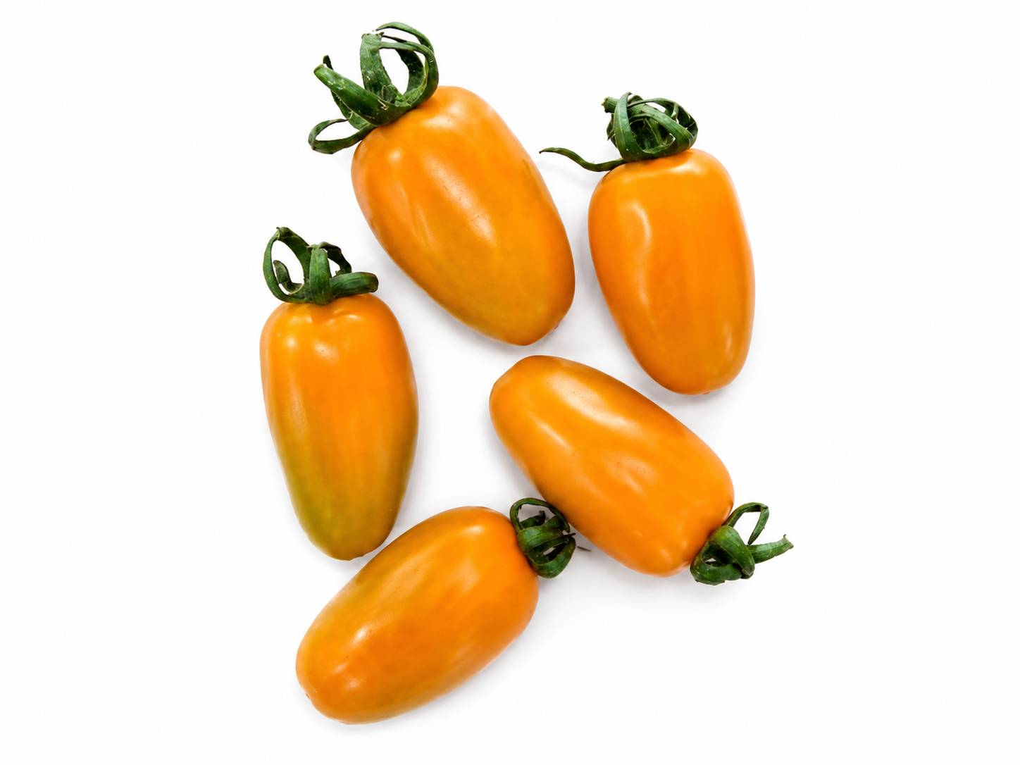 Gypsy (Cypsy) Tomatoes