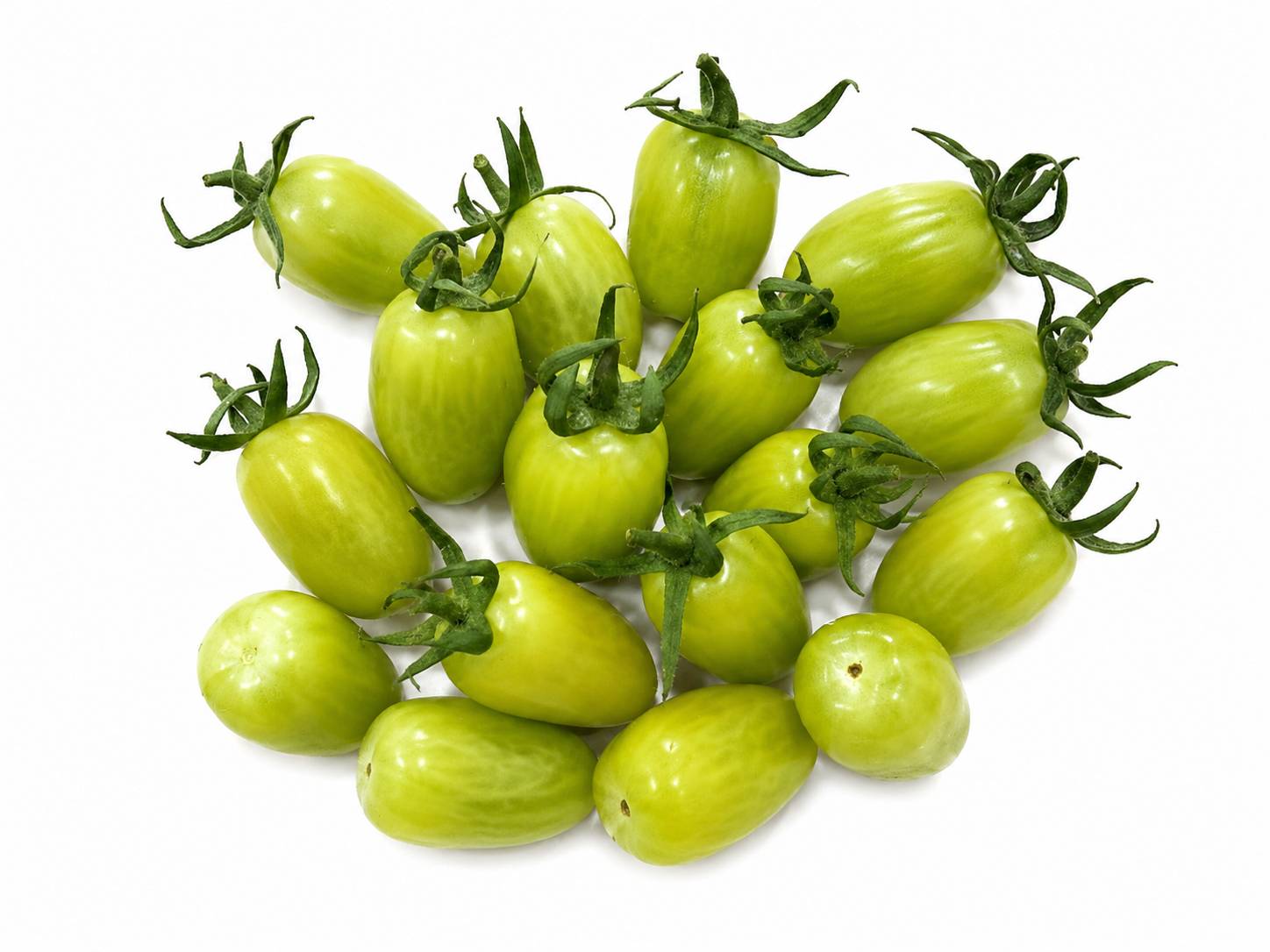 Gourami Tomatoes
