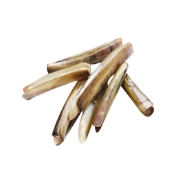 Wild Razor Clams