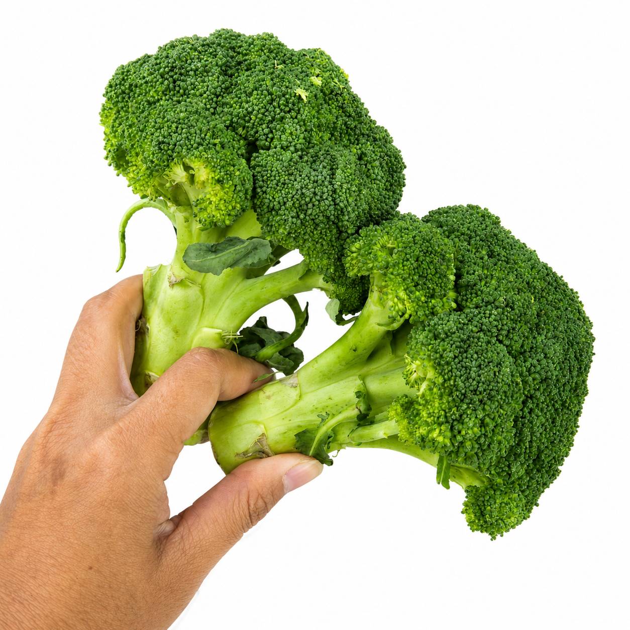Organic Broccoli 400-450g/Pck