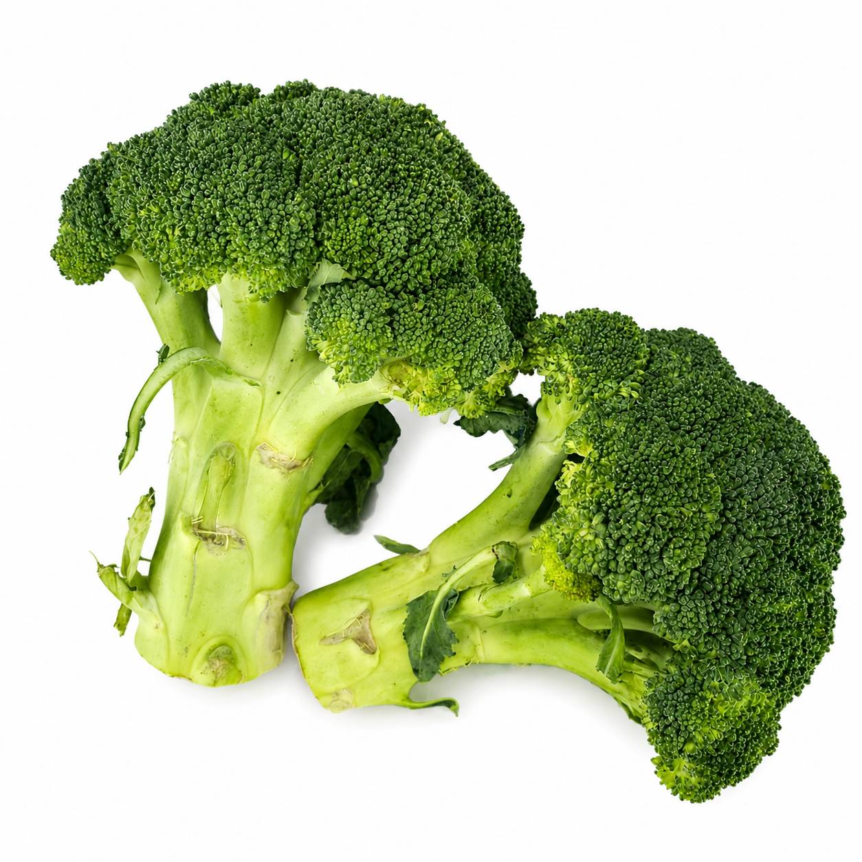 Organic Broccoli 400-450g/Pck
