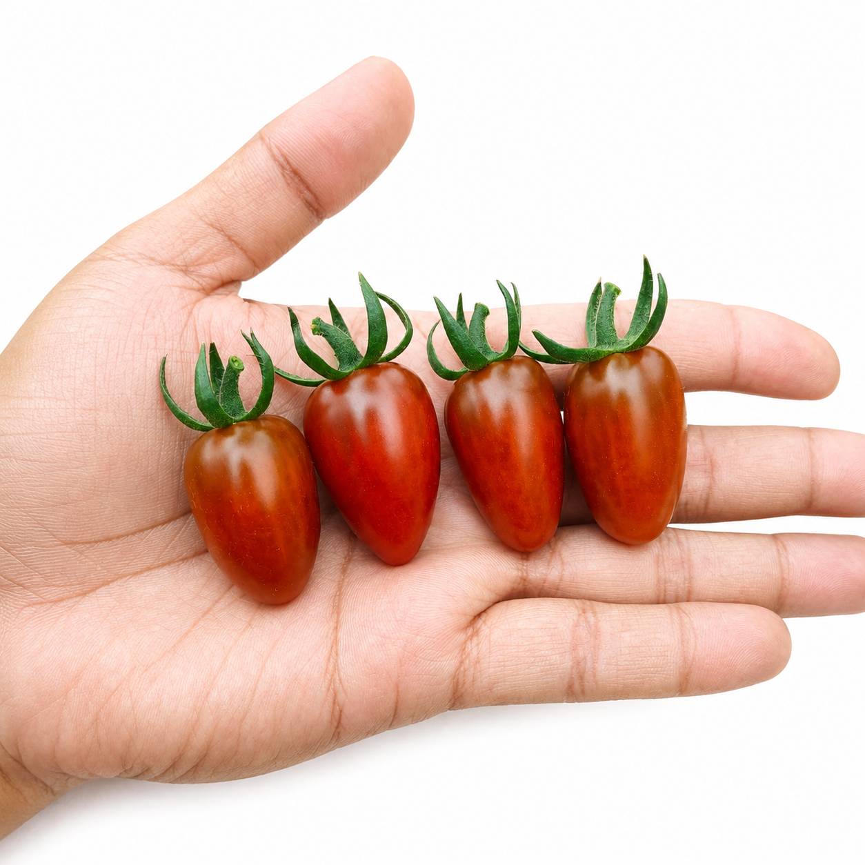 Chocolate Grape Tomatoes