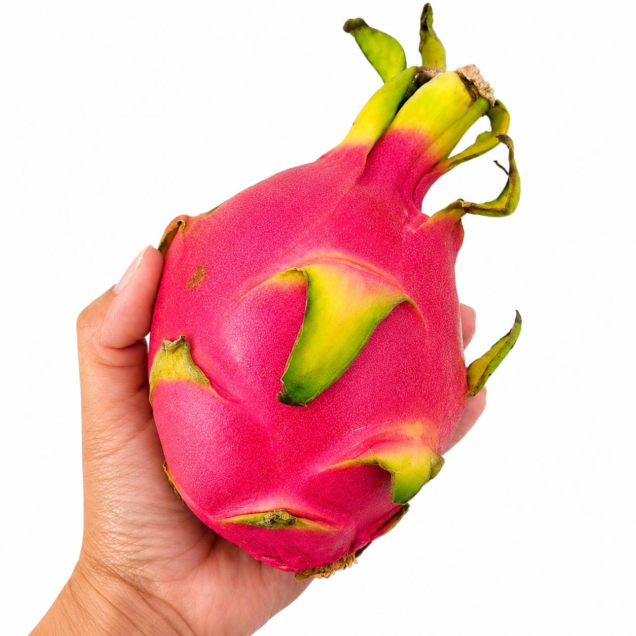 Organic Dragon fruits