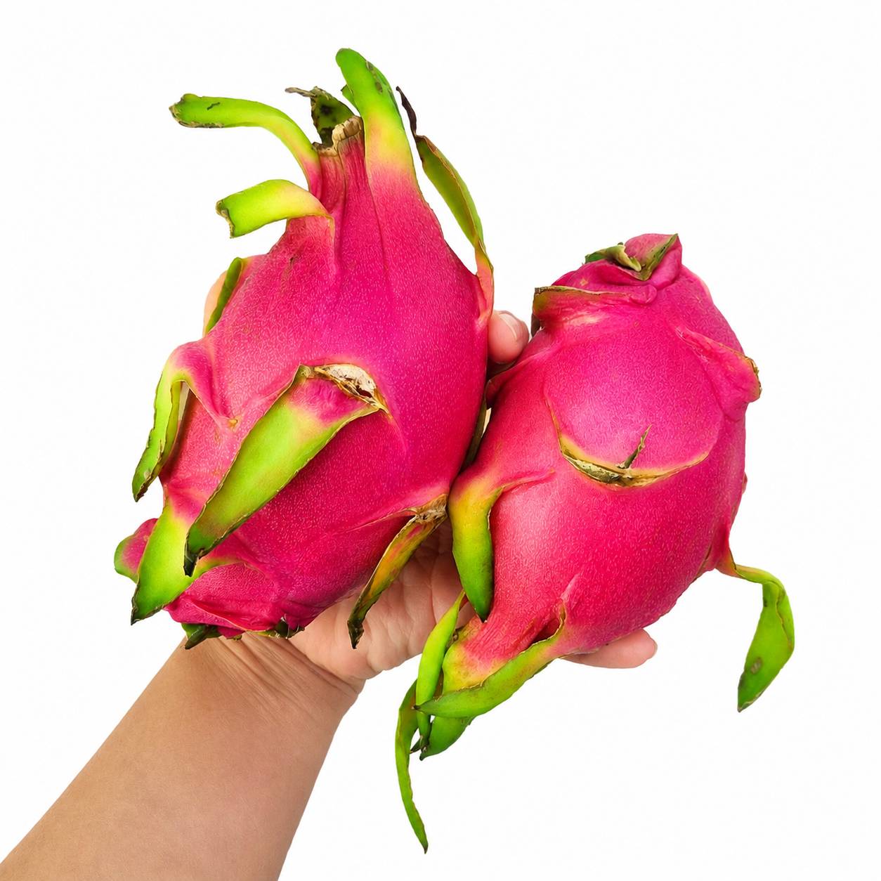 Organic Dragon fruits 2Pieces