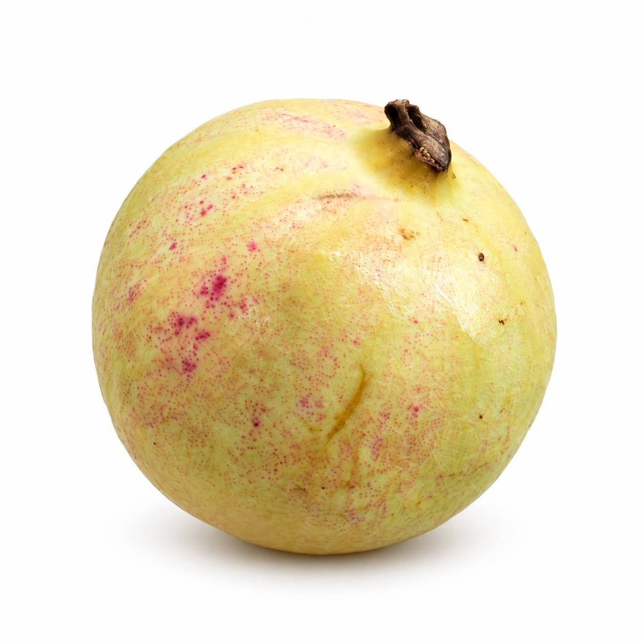 Tunisian Pomegranate