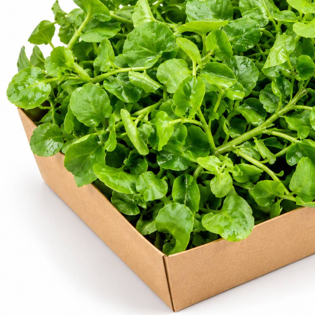 Organic Watercress