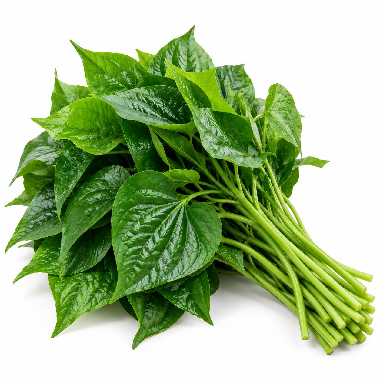 Organic Betel leaves