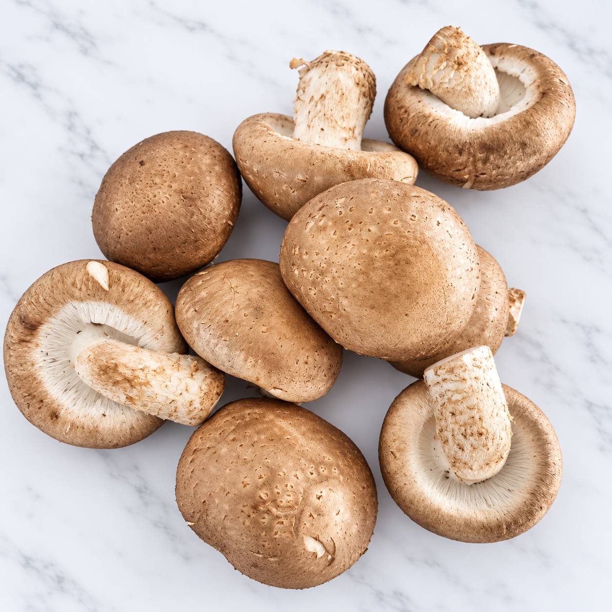 Organic Fresh Shiitaka Mushroom