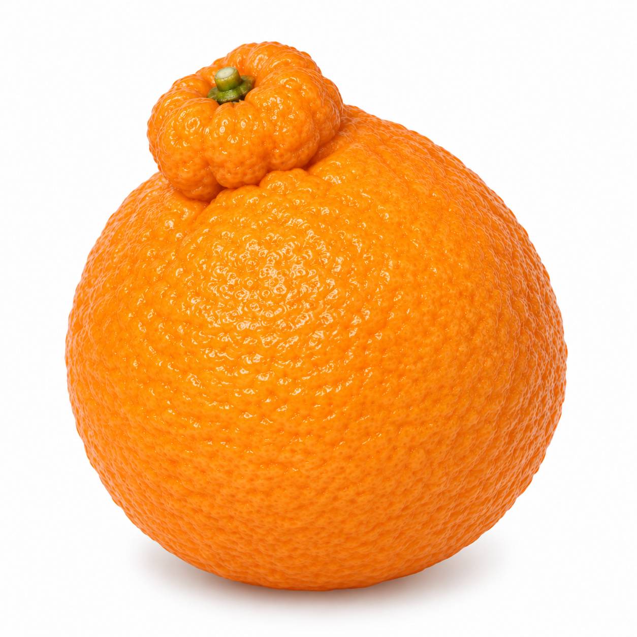 Fresh Sumo Citrus Mandarin 