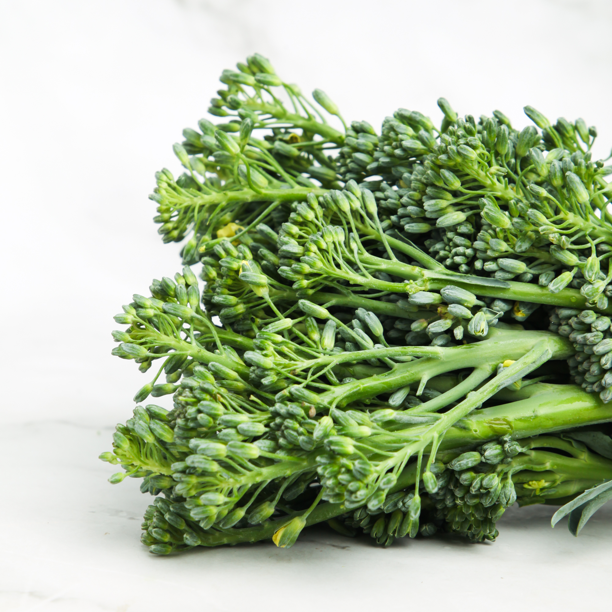 Broccolini