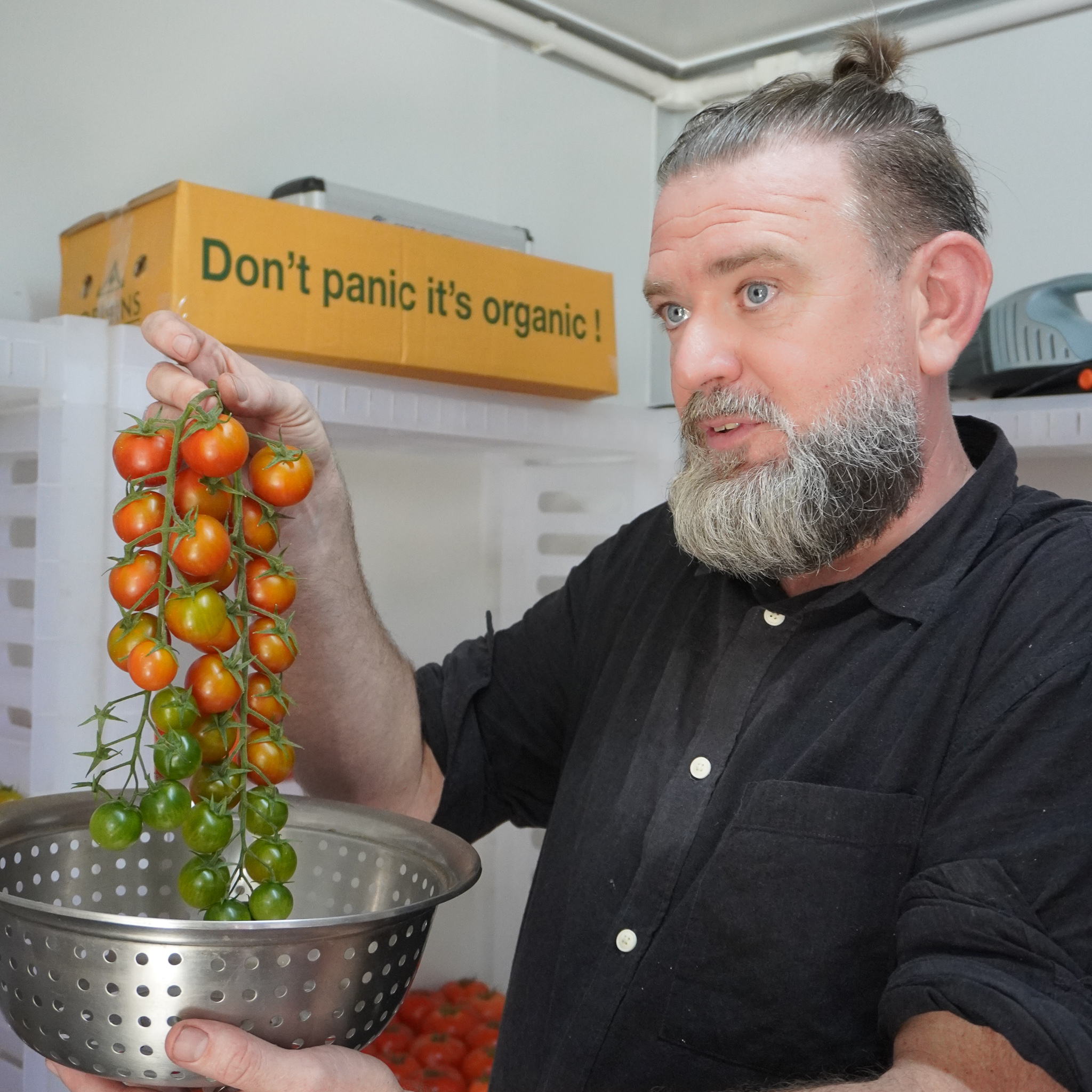 Organic mixed heirloom tomatoes