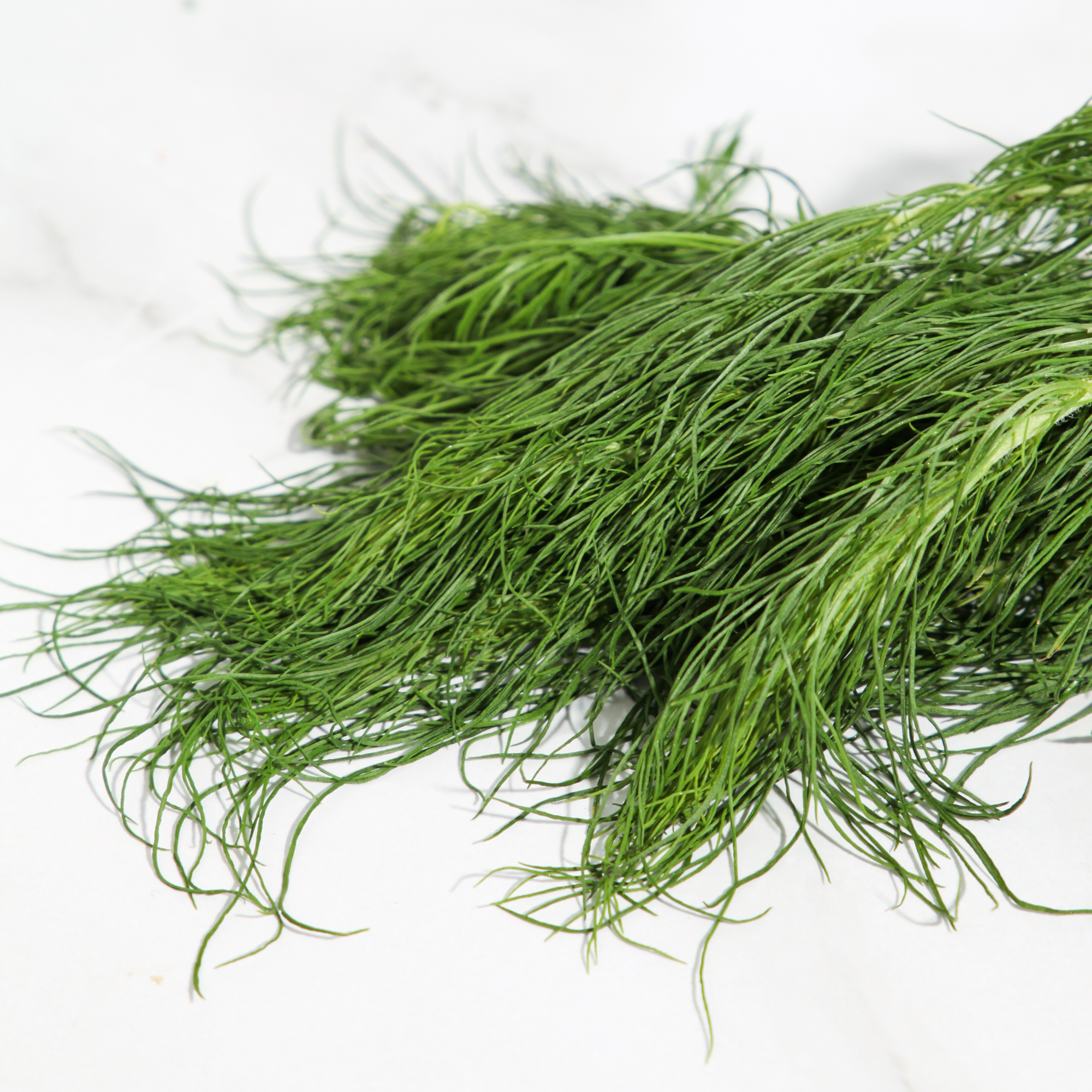 Organic Fresh Dill
