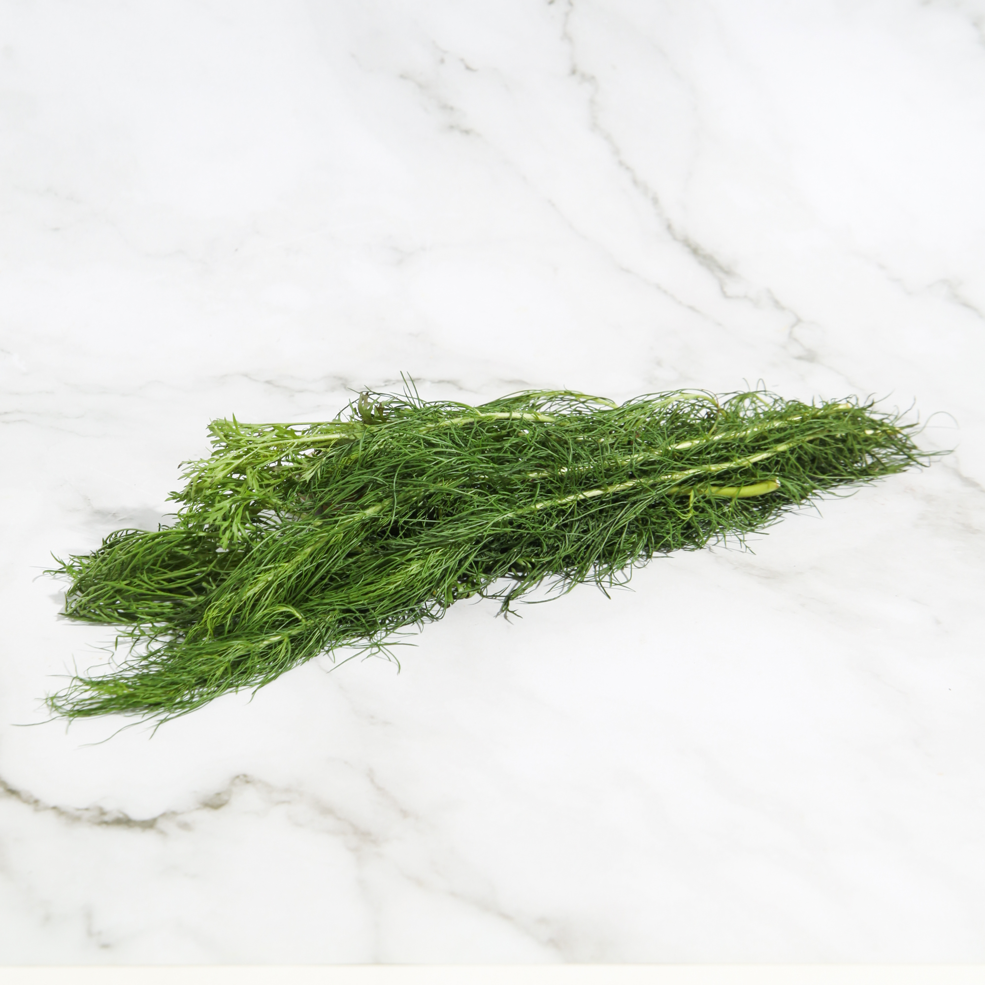 Organic Fresh Dill