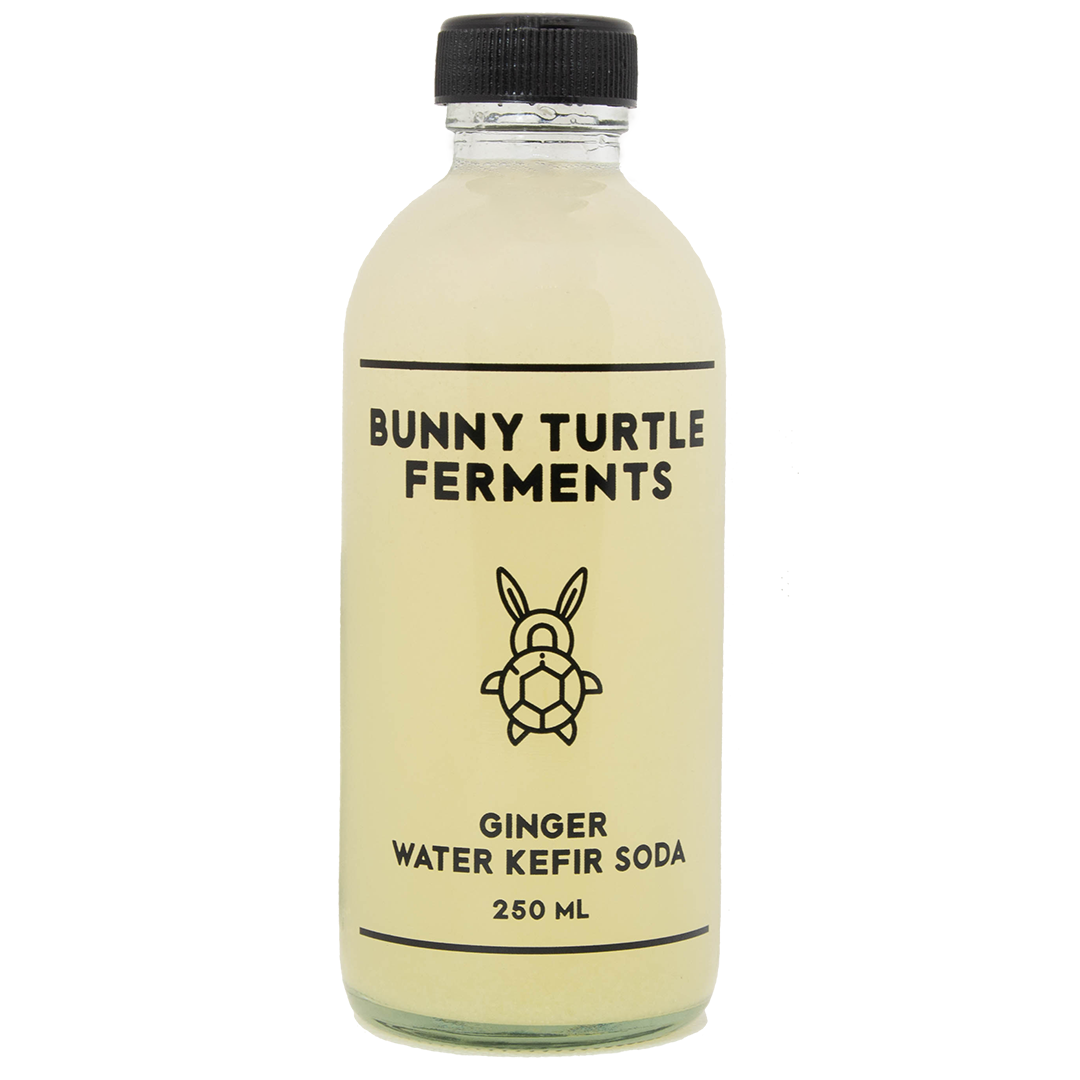 Ginger Water Kefir Soda by Bunny Turtle Ferments