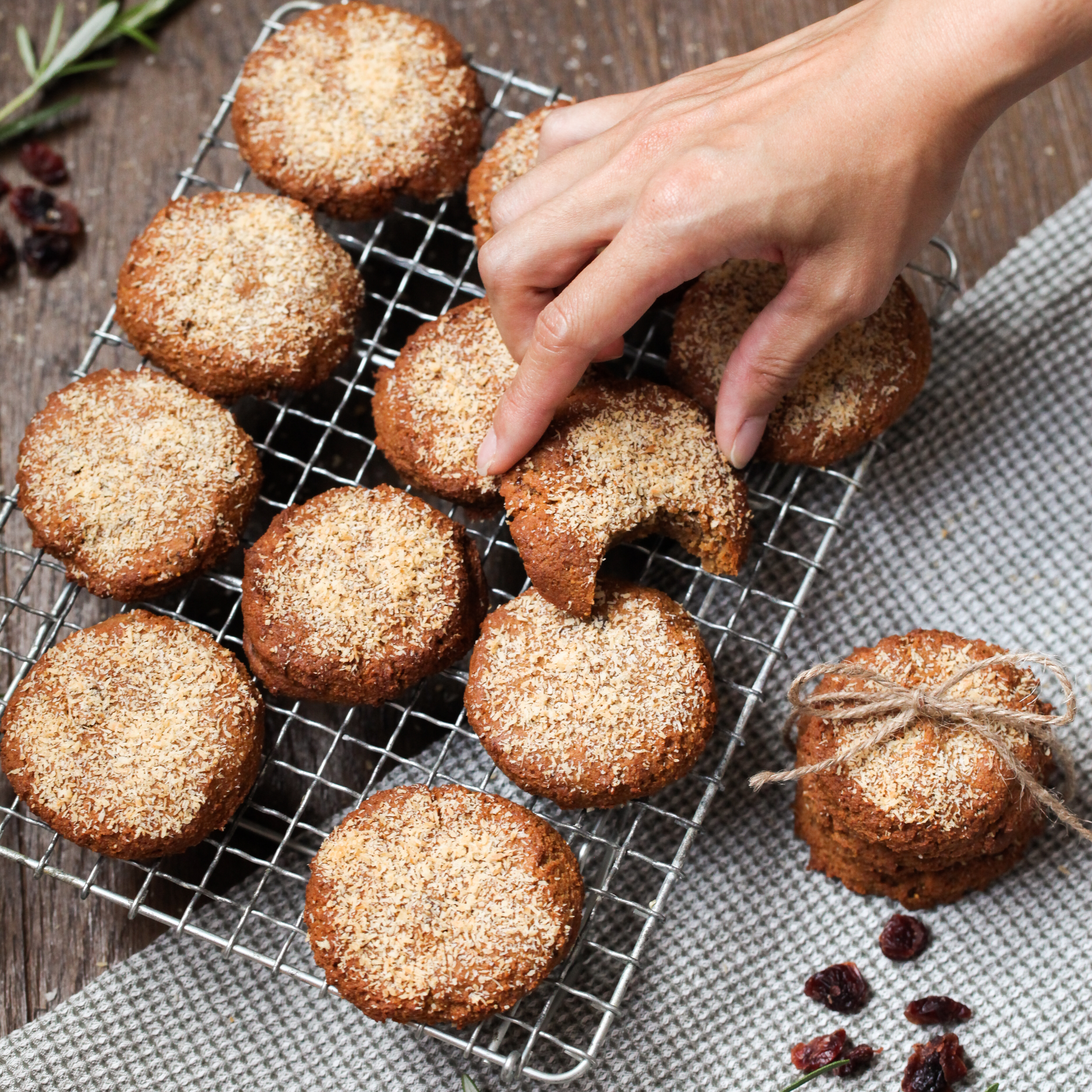 Gingerbread Christmas Cookies