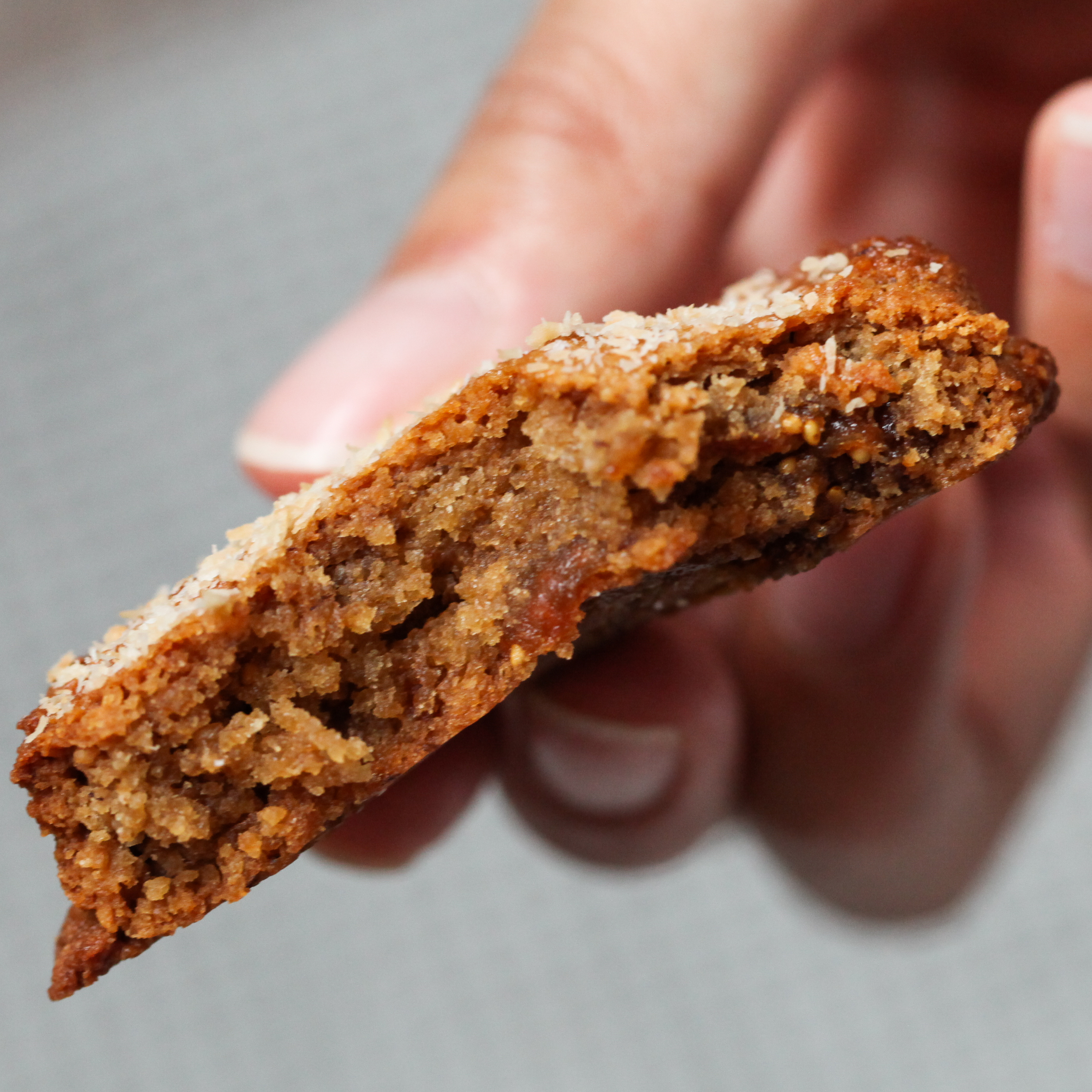 Gingerbread Christmas Cookies