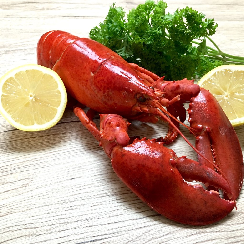 Wild Caught Cooked Lobster