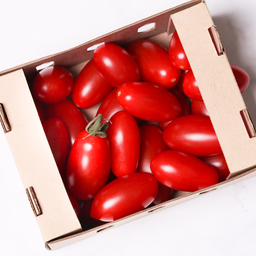 Solarino Red Plum Tomatoes