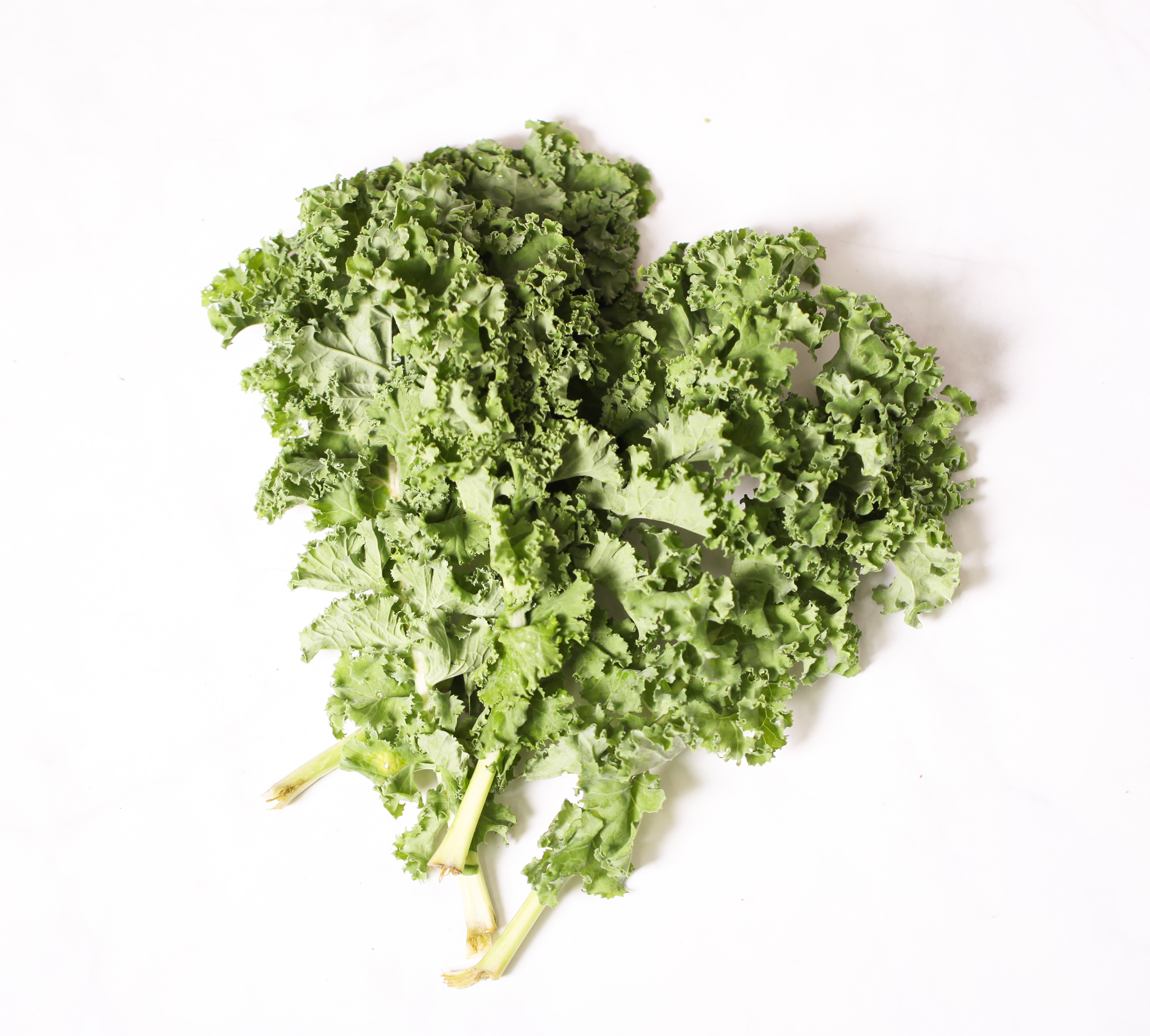 Organic Curly Baby Kale