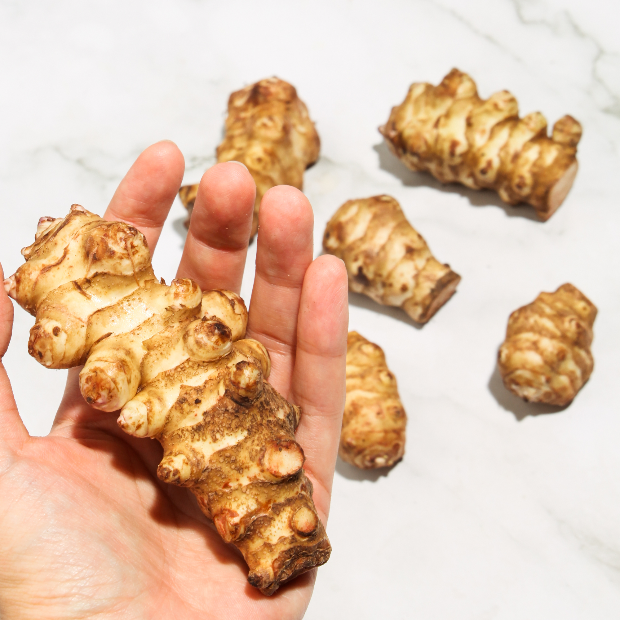 Organic Sunchoke