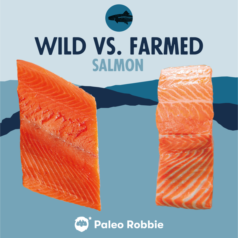 wild salmon vs farmed salmon