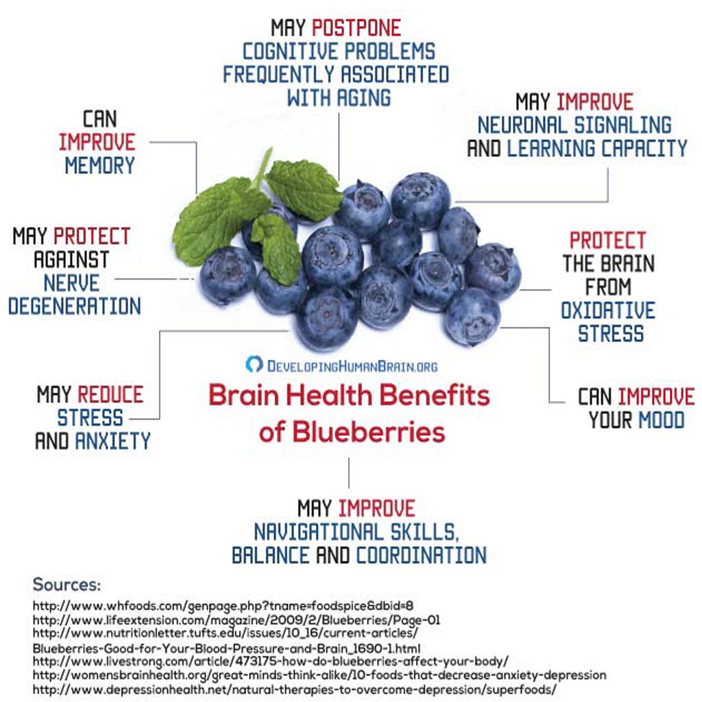 Blueberries Small