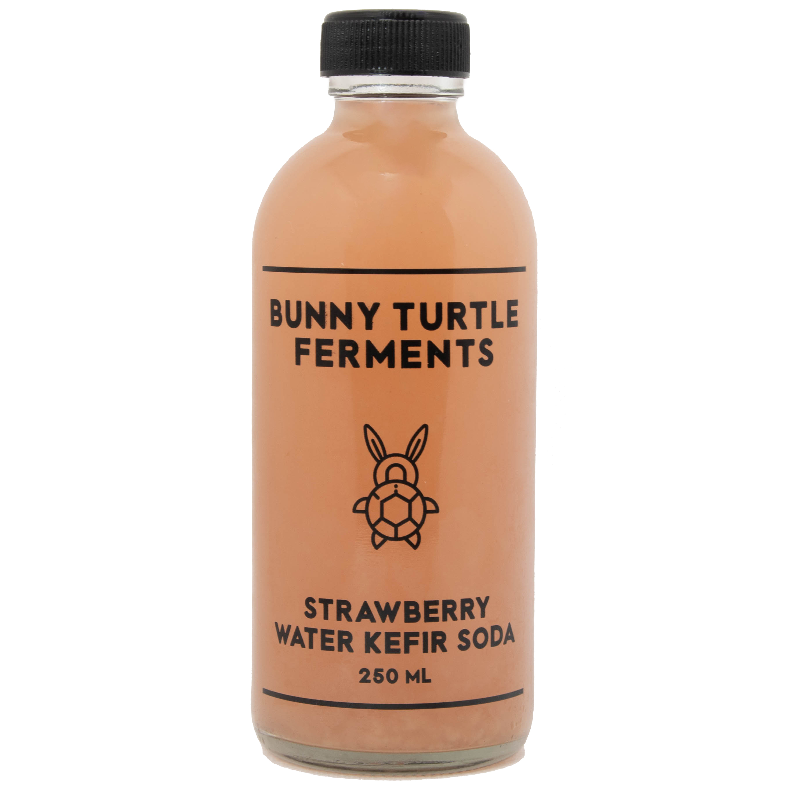 Strawberry Water Kefir Soda by Bunny Turtle Ferments