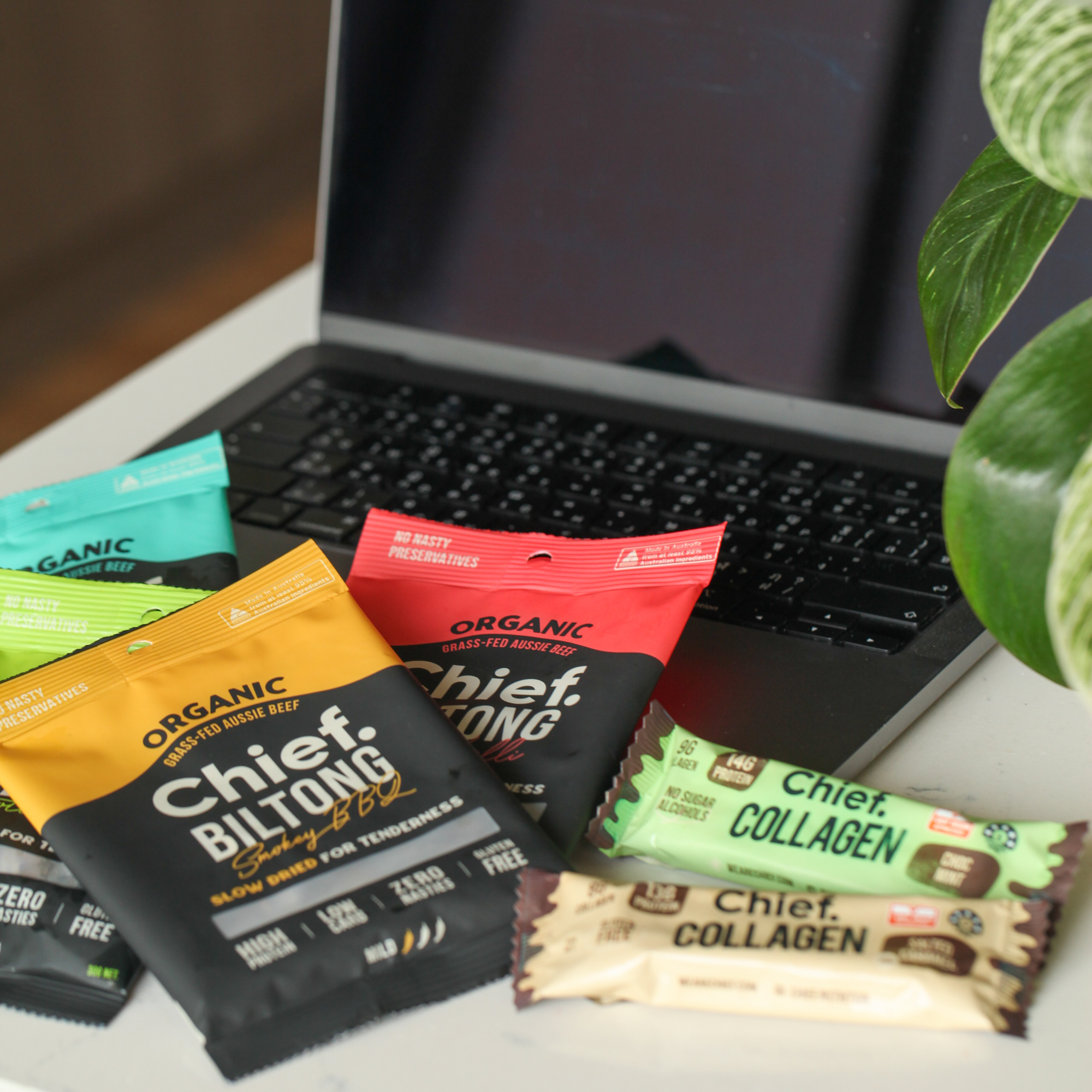 Choc Mint Collagen Protein Bar - Chief