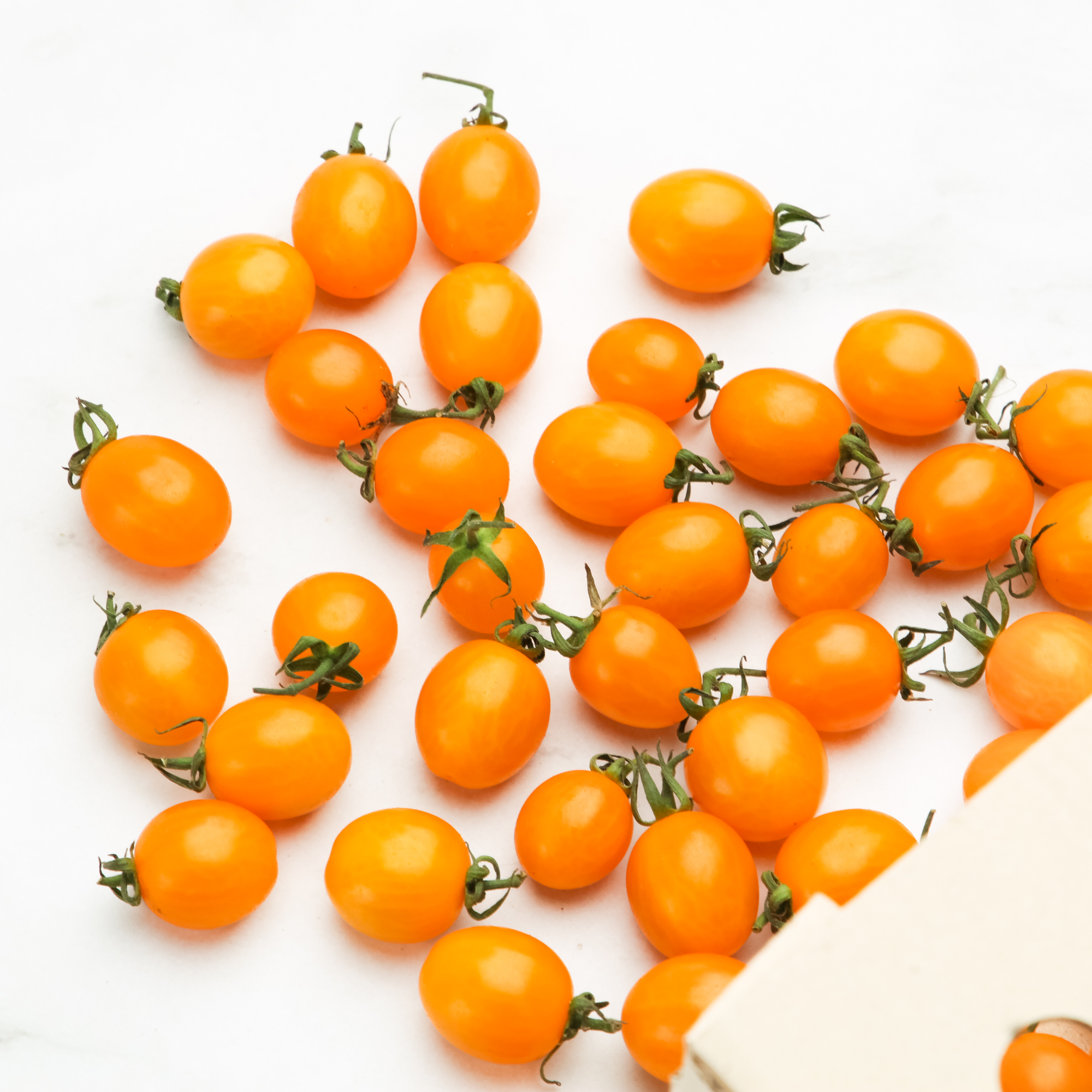 Organic Yellow Chloe Tomato