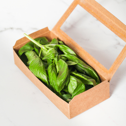 Organic Italian Sweet Basil