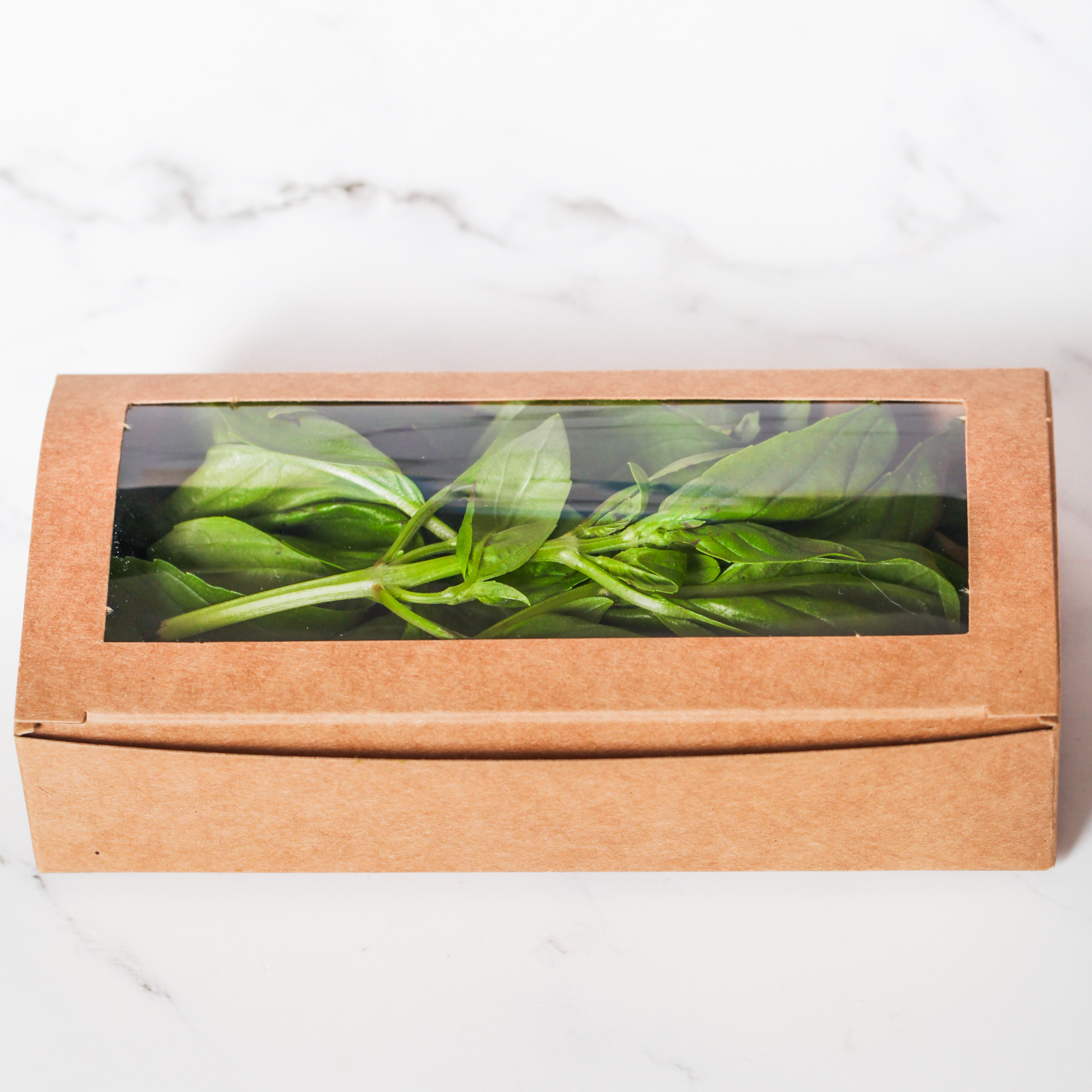 Organic Italian Sweet Basil