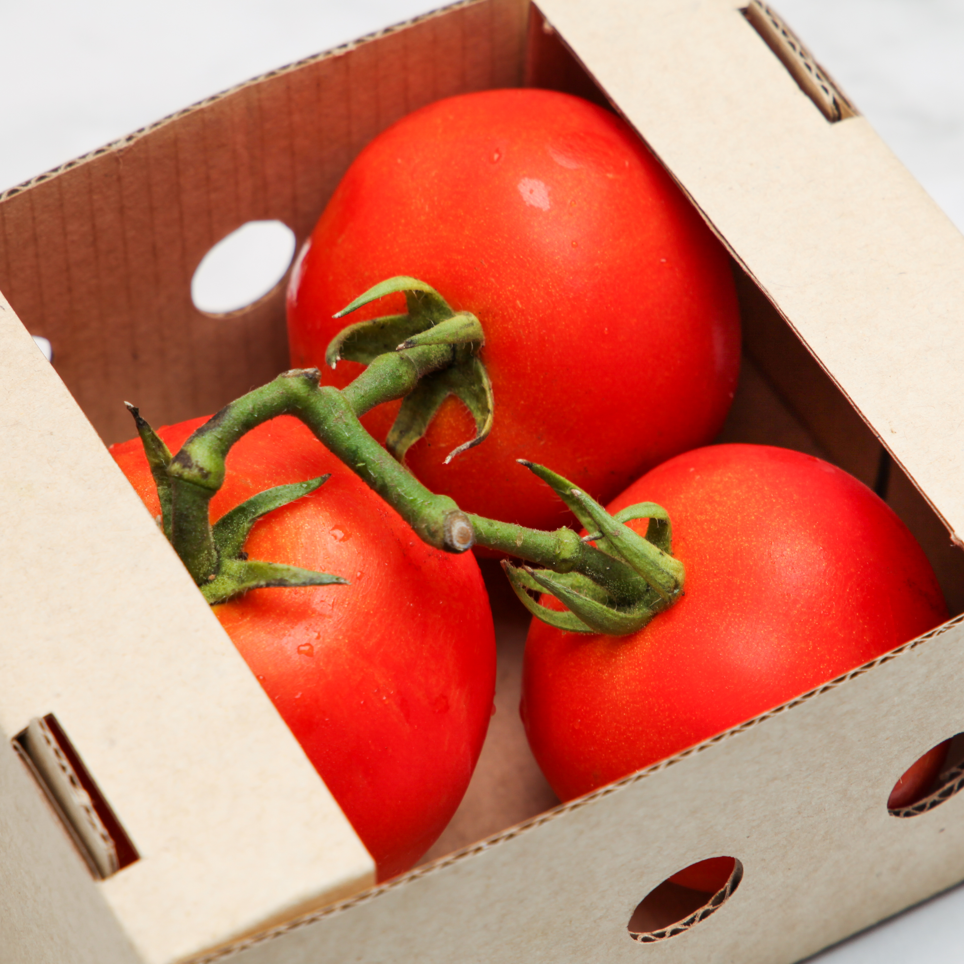 Organic Thomas Tomatoes