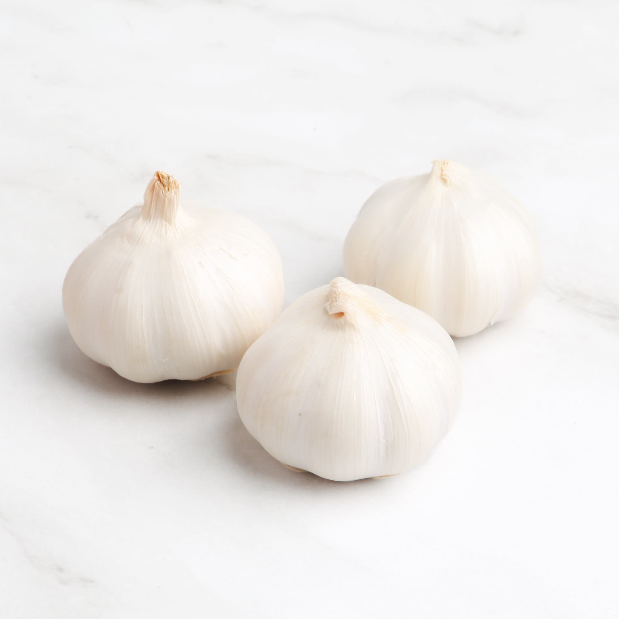 Organic Garlic
