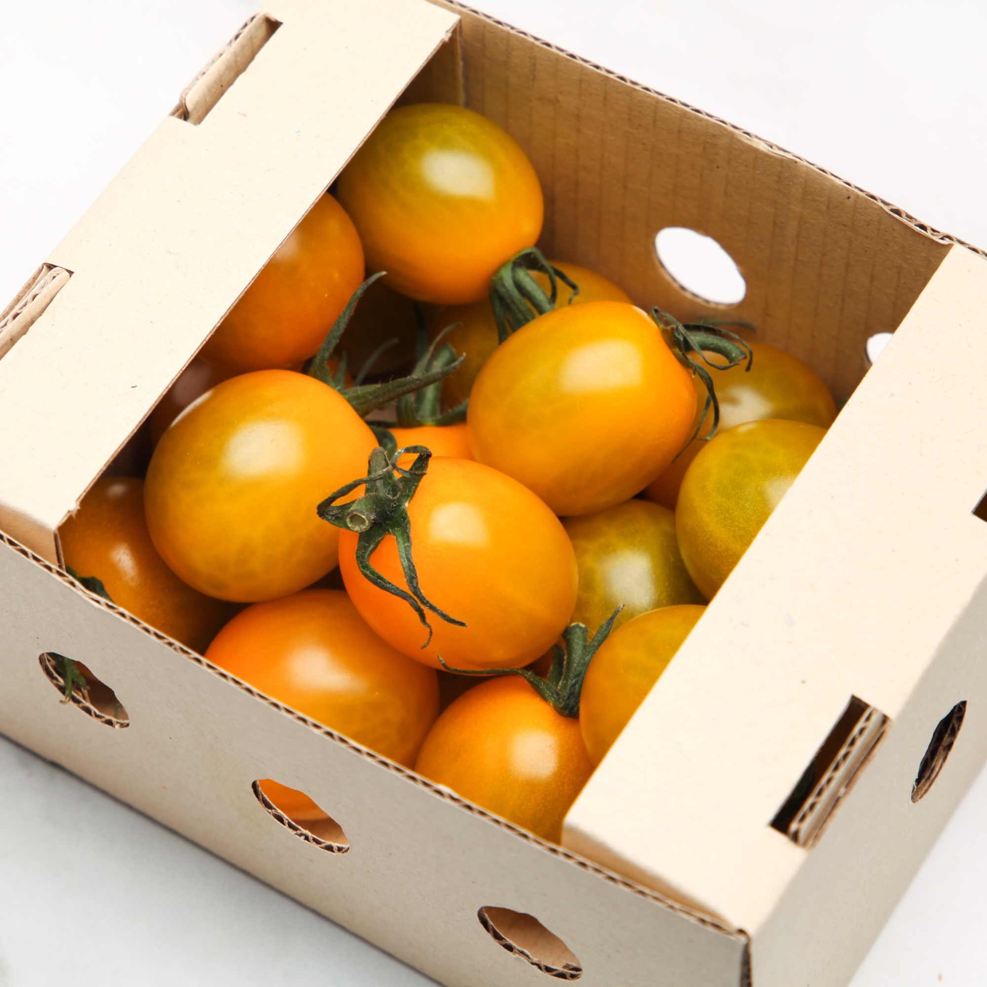 Organic Yellow Japanese Tomatoes