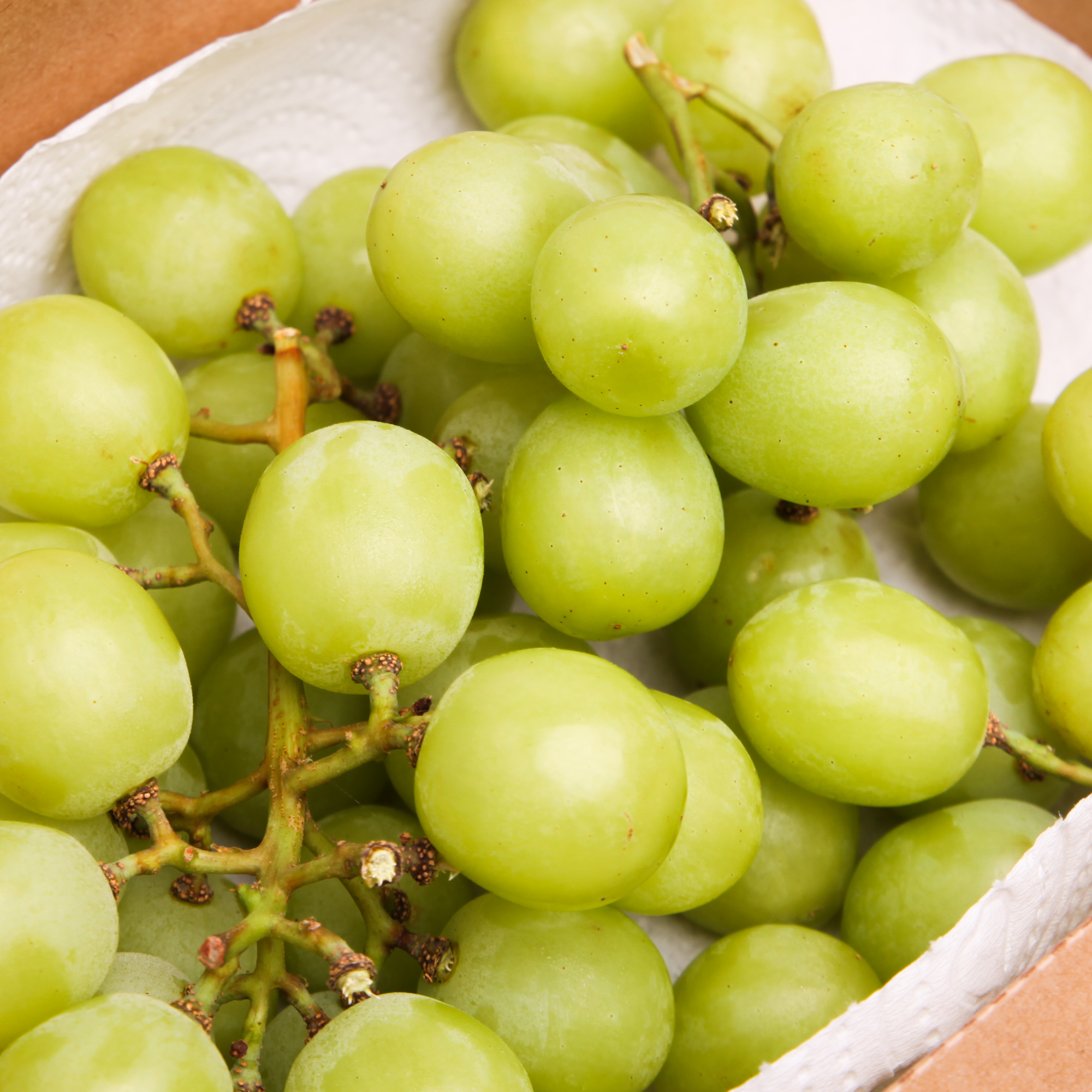 Green Grapes Ivory