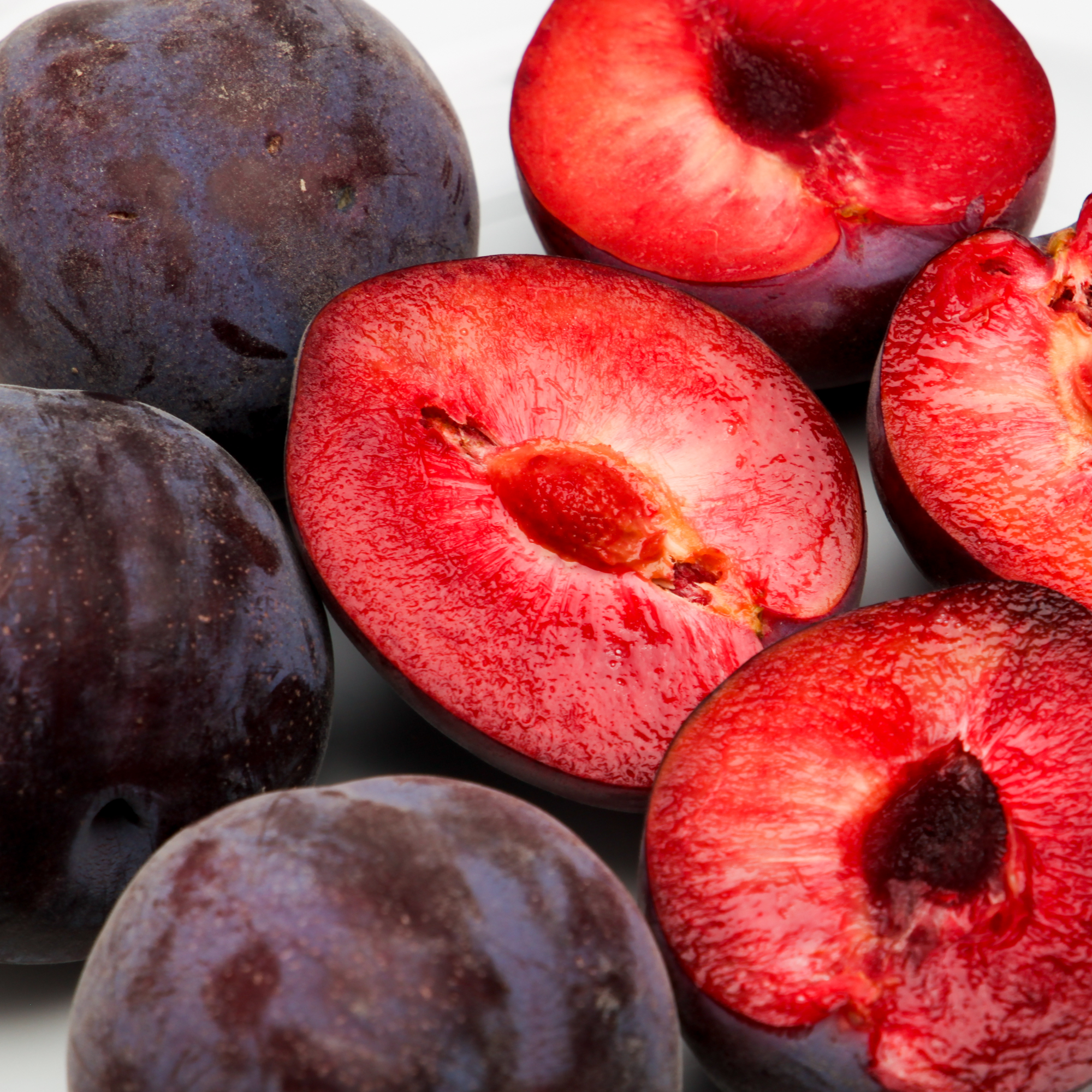 Plumcot Midnight Rose