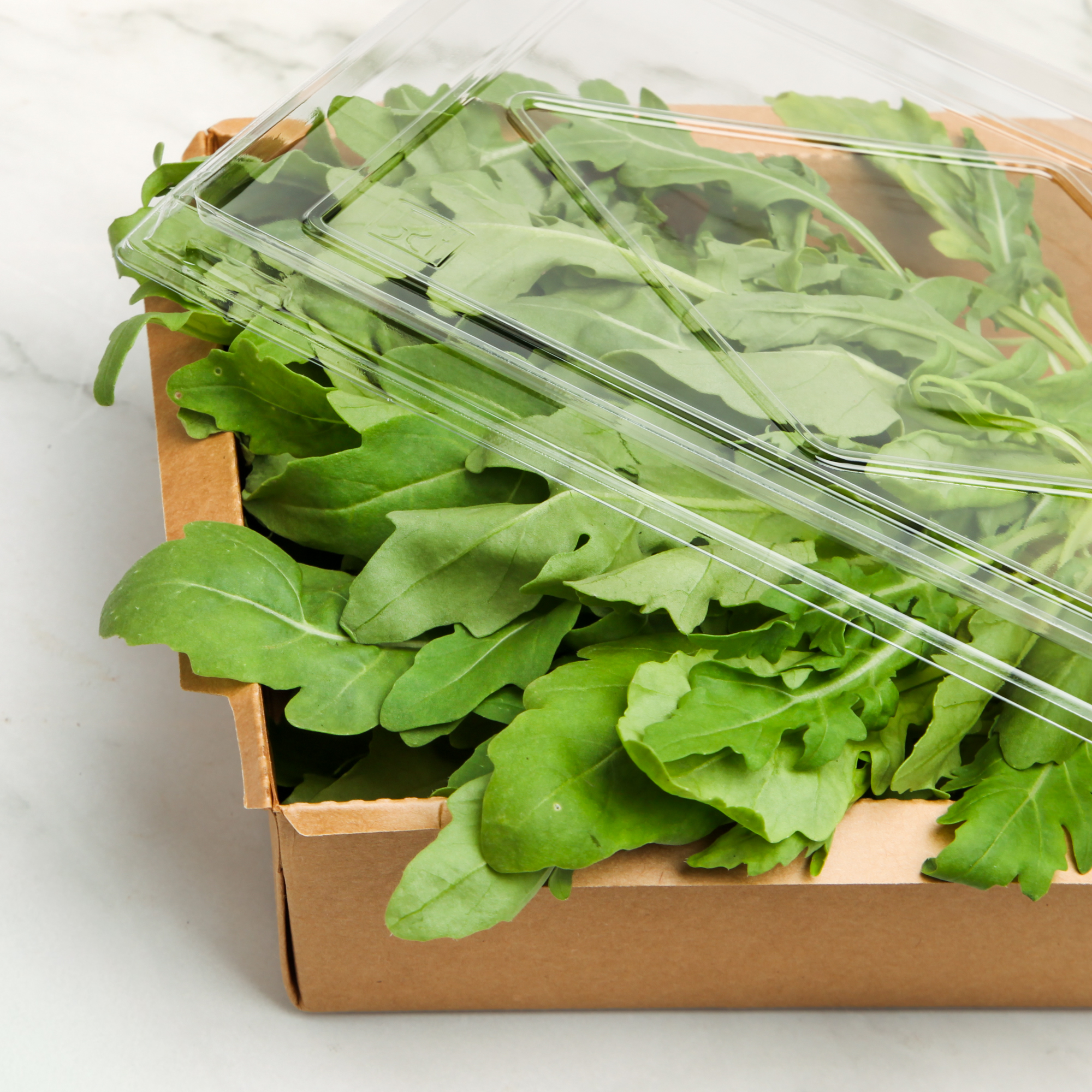 Organic Wild Rocket (Nonthaburi) — Broad-Leaf