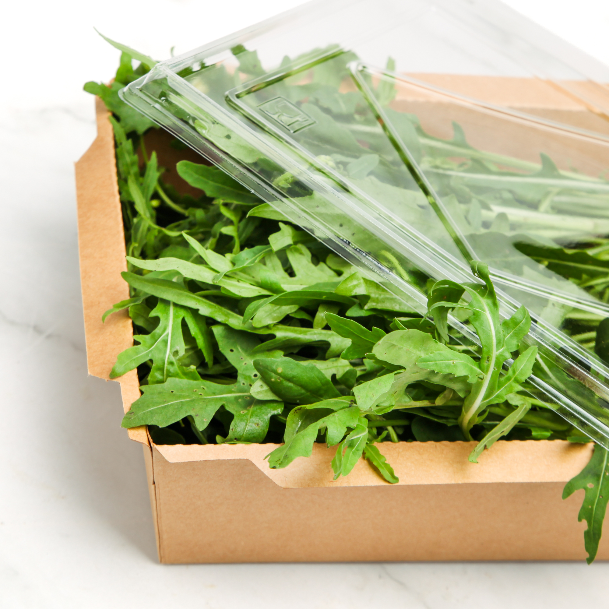 Organic Wild Rocket (Chiang Mai) — Micro-Leaf