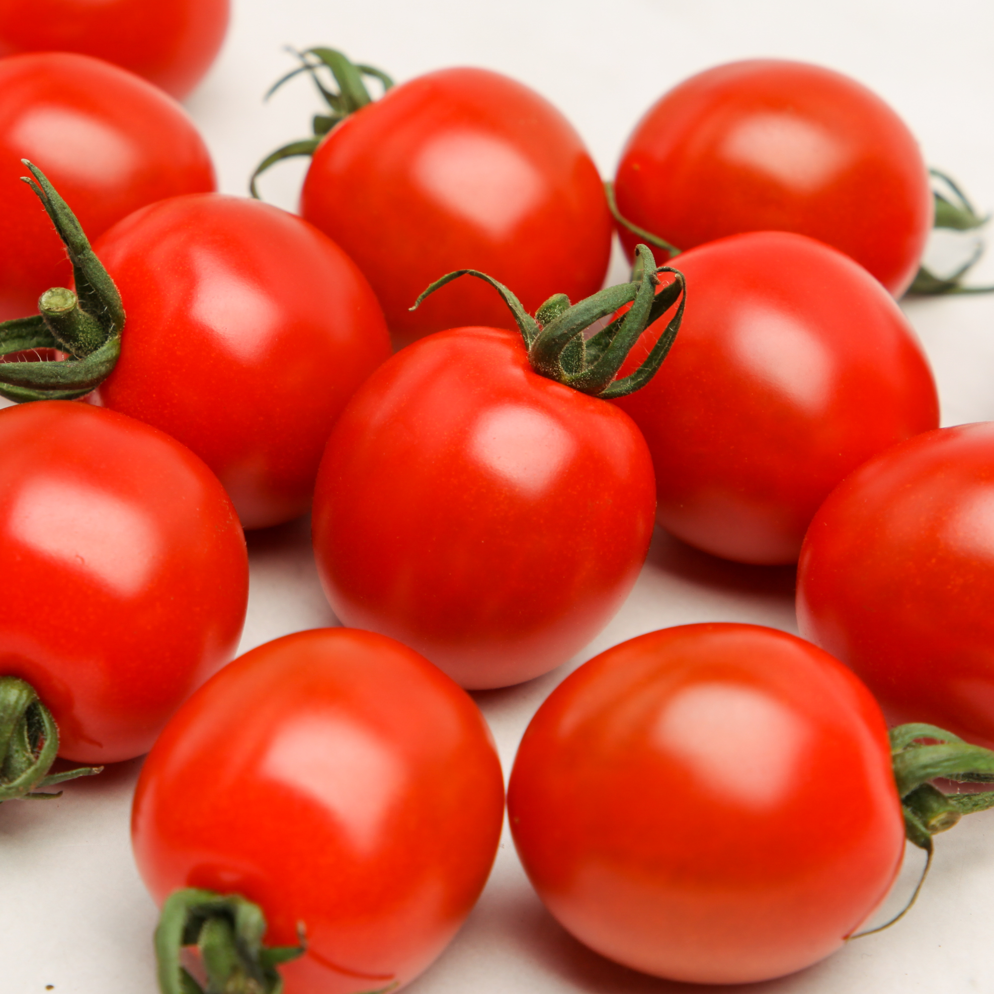 Organic Red Japanese Tomatoes